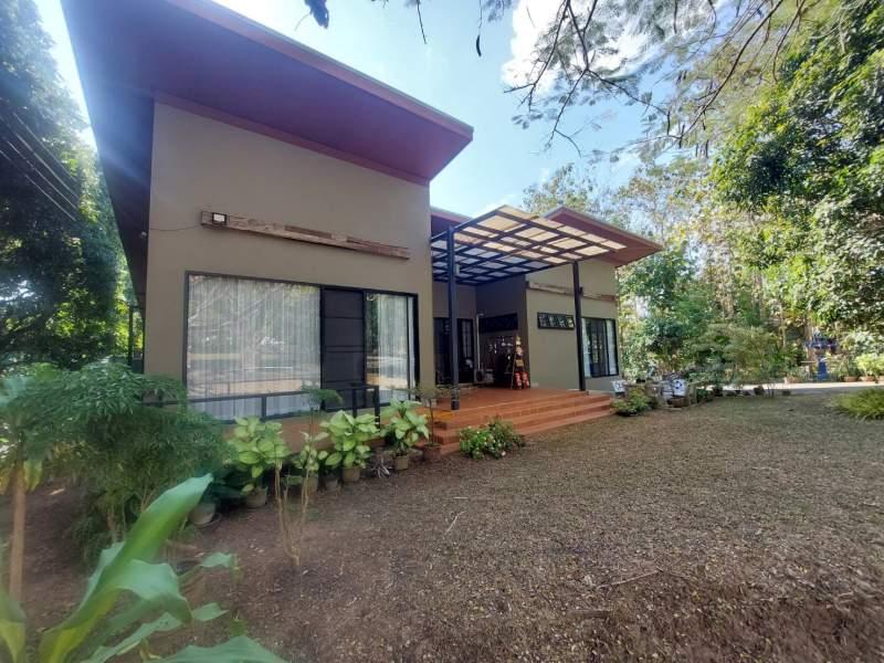 Two Houses for Sale on a 1-Rai Property in Chiangrai City - 2 HOUSES inn Chiangrai city