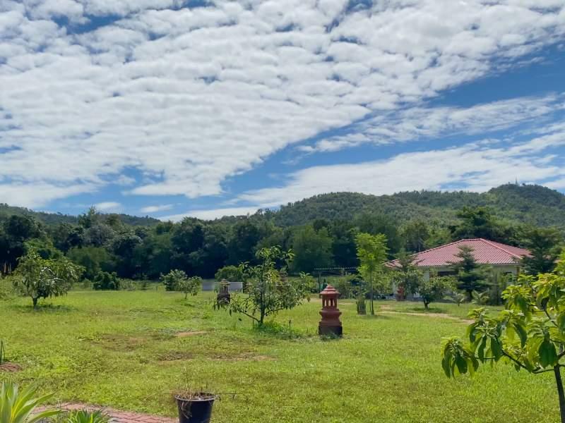 Huge Property 5 Rai 2 Ngan Land with 2-Bedroom House - Huge property 1 house