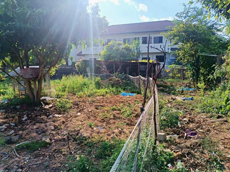 Land for Sale in Ban Du, Mueang Chiang Rai - Land for Sale in Bandu