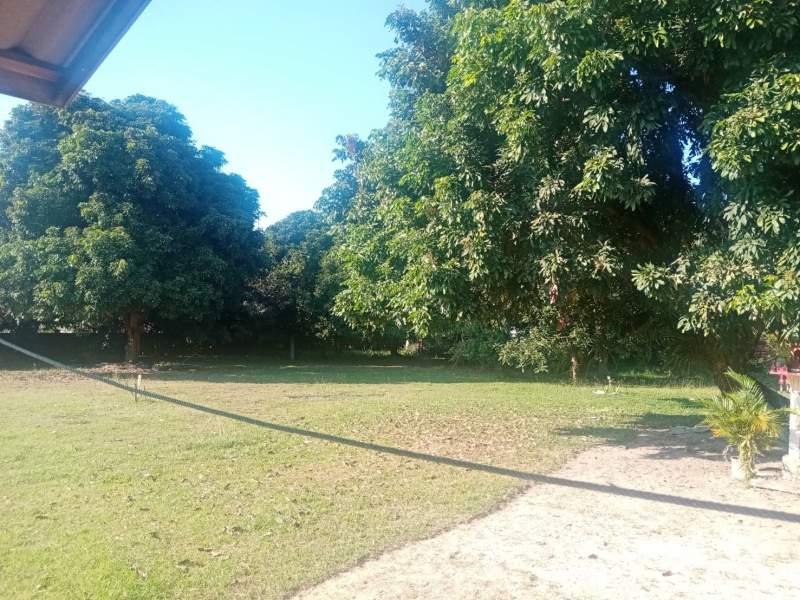Land for Sale in San Sai, Mueang Chiang Rai - Image# 7