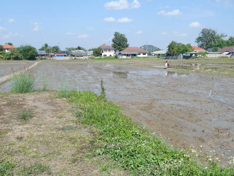 Prime 5 Rai Plot with River, few Minutes from White Temple! - SANSAI LAND FOR SALE