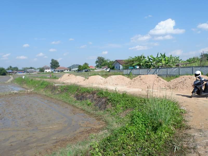 Prime 5 Rai Plot with River, few Minutes from White Temple! - SANSAI LAND FOR SALE