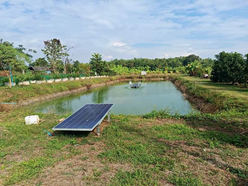 Spacious 5-Bedroom House for Sale in Mae Kon, Mueang Chiang Rai - House and land Mae Kon