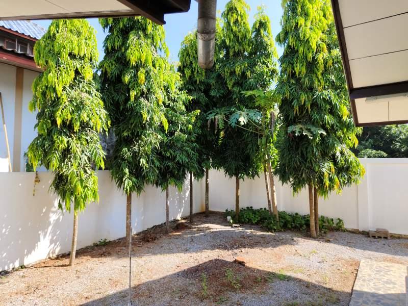 Quiet House and Green Garden for Sale PANALAI WIANG NUEA WIANG CHAI - Wiang Chai property 2303