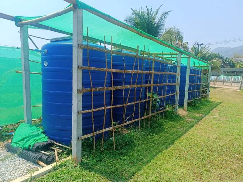 1,600 SqM Sustainable Farm for Sale in Mae Chan, Chiang Rai - Ideal for Ecological Farming - Image# 7