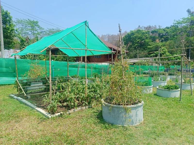 1,600 SqM Sustainable Farm for Sale in Mae Chan, Chiang Rai - Ideal for Ecological Farming - Image# 8