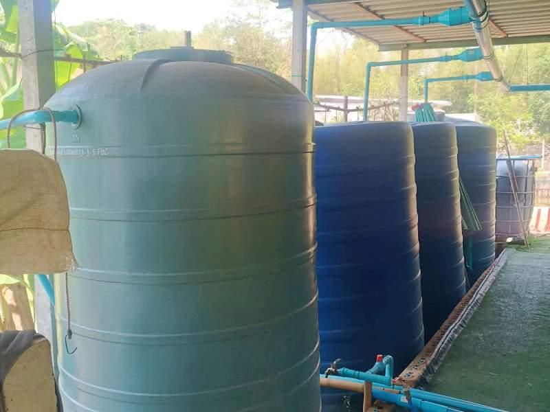1,600 SqM Sustainable Farm for Sale in Mae Chan, Chiang Rai - Ideal for Ecological Farming - Image# 16
